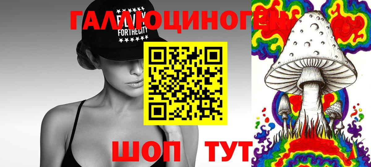 Донской  Галлюциногенные грибы Cubensis  Вход с VPN 