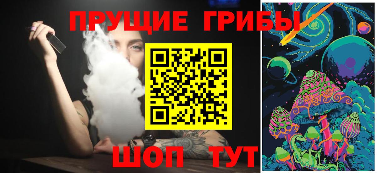 Псилоцибиновые грибы Psilocybe Донской